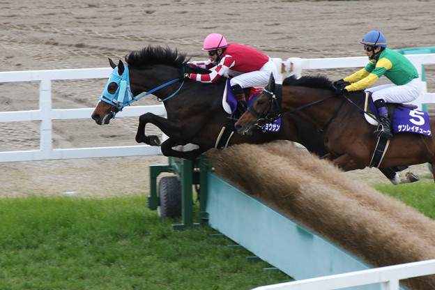 苦労が多そう 地方競馬の歴代ダービージョッキーの稼ぎとは